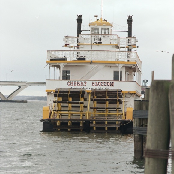 Canon AE-1 35mm Film Camera with Canon 50mm f/1.8 FD Lens (Film Tested) - Picture 13 of 14